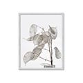 Picture of Sprout & Jar _GroupedProduct_Rectangle_Portrait_Photography _GroupedProduct_Rectangle_Portrait_Framed_Matted_