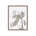 Picture of Sprout & Jar _GroupedProduct_Rectangle_Portrait_Photography _GroupedProduct_Rectangle_Portrait_Framed_Matted_