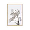 Picture of Sprout & Jar _GroupedProduct_Rectangle_Portrait_Photography _GroupedProduct_Rectangle_Portrait_Framed_Matted_