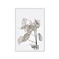 Picture of Sprout & Jar _GroupedProduct_Rectangle_Portrait_Photography _GroupedProduct_Rectangle_Portrait_Framed_Matted_