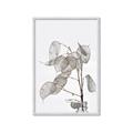 Picture of Sprout & Jar _GroupedProduct_Rectangle_Portrait_Photography _GroupedProduct_Rectangle_Portrait_Framed_Matted_