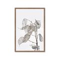 Picture of Sprout & Jar _GroupedProduct_Rectangle_Portrait_Photography _GroupedProduct_Rectangle_Portrait_Framed_Matted_