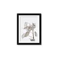 Picture of Sprout & Jar _GroupedProduct_Rectangle_Portrait_Photography _GroupedProduct_Rectangle_Portrait_Framed_Matted_