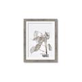 Picture of Sprout & Jar _GroupedProduct_Rectangle_Portrait_Photography _GroupedProduct_Rectangle_Portrait_Framed_Matted_