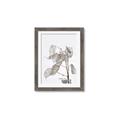 Picture of Sprout & Jar _GroupedProduct_Rectangle_Portrait_Photography _GroupedProduct_Rectangle_Portrait_Framed_Matted_