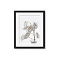 Picture of Sprout & Jar _GroupedProduct_Rectangle_Portrait_Photography _GroupedProduct_Rectangle_Portrait_Framed_Matted_