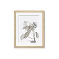 Picture of Sprout & Jar _GroupedProduct_Rectangle_Portrait_Photography _GroupedProduct_Rectangle_Portrait_Framed_Matted_