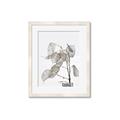 Picture of Sprout & Jar _GroupedProduct_Rectangle_Portrait_Photography _GroupedProduct_Rectangle_Portrait_Framed_Matted_