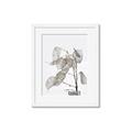 Picture of Sprout & Jar _GroupedProduct_Rectangle_Portrait_Photography _GroupedProduct_Rectangle_Portrait_Framed_Matted_