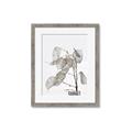 Picture of Sprout & Jar _GroupedProduct_Rectangle_Portrait_Photography _GroupedProduct_Rectangle_Portrait_Framed_Matted_