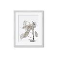 Picture of Sprout & Jar _GroupedProduct_Rectangle_Portrait_Photography _GroupedProduct_Rectangle_Portrait_Framed_Matted_