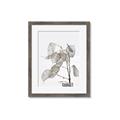 Picture of Sprout & Jar _GroupedProduct_Rectangle_Portrait_Photography _GroupedProduct_Rectangle_Portrait_Framed_Matted_