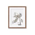 Picture of Sprout & Jar _GroupedProduct_Rectangle_Portrait_Photography _GroupedProduct_Rectangle_Portrait_Framed_Matted_