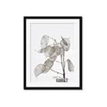 Picture of Sprout & Jar _GroupedProduct_Rectangle_Portrait_Photography _GroupedProduct_Rectangle_Portrait_Framed_Matted_