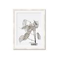 Picture of Sprout & Jar _GroupedProduct_Rectangle_Portrait_Photography _GroupedProduct_Rectangle_Portrait_Framed_Matted_