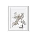 Picture of Sprout & Jar _GroupedProduct_Rectangle_Portrait_Photography _GroupedProduct_Rectangle_Portrait_Framed_Matted_