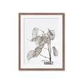 Picture of Sprout & Jar _GroupedProduct_Rectangle_Portrait_Photography _GroupedProduct_Rectangle_Portrait_Framed_Matted_