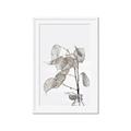 Picture of Sprout & Jar _GroupedProduct_Rectangle_Portrait_Photography _GroupedProduct_Rectangle_Portrait_Framed_Matted_