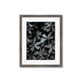 Picture of Intensely Green I _GroupedProduct_Rectangle_Portrait_Photography _GroupedProduct_Rectangle_Portrait_Framed_Matted_