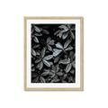 Picture of Intensely Green I _GroupedProduct_Rectangle_Portrait_Photography _GroupedProduct_Rectangle_Portrait_Framed_Matted_