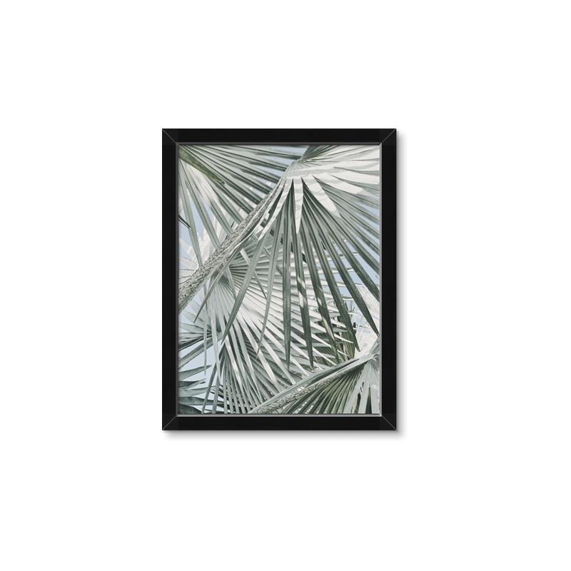 Picture of Sun & Leaves  _GroupedProduct_Rectangle_Portrait_Photography _GroupedProduct_Rectangle_Portrait_Framed_Matted_