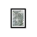 Picture of Sun & Leaves  _GroupedProduct_Rectangle_Portrait_Photography _GroupedProduct_Rectangle_Portrait_Framed_Matted_