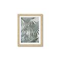 Picture of Sun & Leaves  _GroupedProduct_Rectangle_Portrait_Photography _GroupedProduct_Rectangle_Portrait_Framed_Matted_