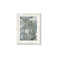 Picture of Sun & Leaves  _GroupedProduct_Rectangle_Portrait_Photography _GroupedProduct_Rectangle_Portrait_Framed_Matted_