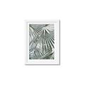 Picture of Sun & Leaves  _GroupedProduct_Rectangle_Portrait_Photography _GroupedProduct_Rectangle_Portrait_Framed_Matted_