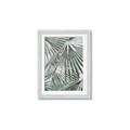 Picture of Sun & Leaves  _GroupedProduct_Rectangle_Portrait_Photography _GroupedProduct_Rectangle_Portrait_Framed_Matted_