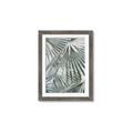 Picture of Sun & Leaves  _GroupedProduct_Rectangle_Portrait_Photography _GroupedProduct_Rectangle_Portrait_Framed_Matted_