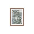 Picture of Sun & Leaves  _GroupedProduct_Rectangle_Portrait_Photography _GroupedProduct_Rectangle_Portrait_Framed_Matted_