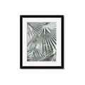 Picture of Sun & Leaves  _GroupedProduct_Rectangle_Portrait_Photography _GroupedProduct_Rectangle_Portrait_Framed_Matted_