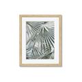 Picture of Sun & Leaves  _GroupedProduct_Rectangle_Portrait_Photography _GroupedProduct_Rectangle_Portrait_Framed_Matted_