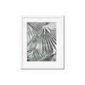Picture of Sun & Leaves  _GroupedProduct_Rectangle_Portrait_Photography _GroupedProduct_Rectangle_Portrait_Framed_Matted_