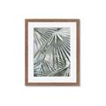 Picture of Sun & Leaves  _GroupedProduct_Rectangle_Portrait_Photography _GroupedProduct_Rectangle_Portrait_Framed_Matted_