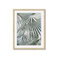 Picture of Sun & Leaves  _GroupedProduct_Rectangle_Portrait_Photography _GroupedProduct_Rectangle_Portrait_Framed_Matted_