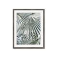 Picture of Sun & Leaves  _GroupedProduct_Rectangle_Portrait_Photography _GroupedProduct_Rectangle_Portrait_Framed_Matted_
