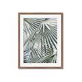 Picture of Sun & Leaves  _GroupedProduct_Rectangle_Portrait_Photography _GroupedProduct_Rectangle_Portrait_Framed_Matted_