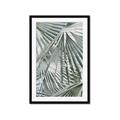 Picture of Sun & Leaves  _GroupedProduct_Rectangle_Portrait_Photography _GroupedProduct_Rectangle_Portrait_Framed_Matted_