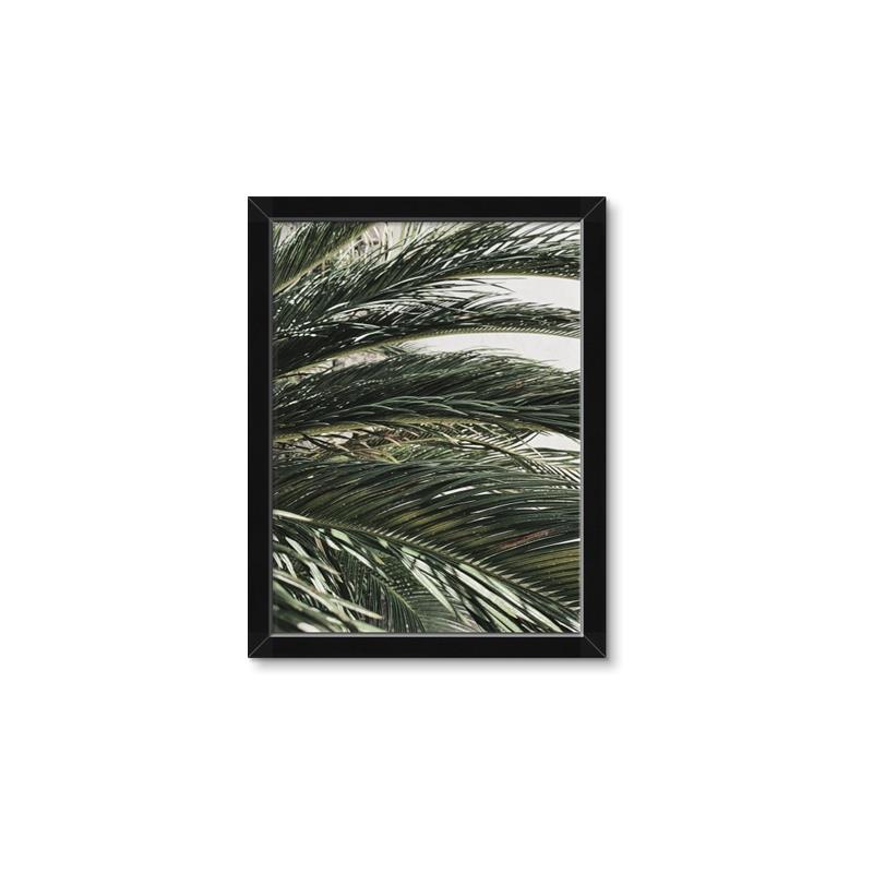 Picture of Sun & Palms  _GroupedProduct_Rectangle_Portrait_Photography _GroupedProduct_Rectangle_Portrait_Framed_Matted_