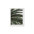 Picture of Sun & Palms  _GroupedProduct_Rectangle_Portrait_Photography _GroupedProduct_Rectangle_Portrait_Framed_Matted_