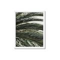 Picture of Sun & Palms  _GroupedProduct_Rectangle_Portrait_Photography _GroupedProduct_Rectangle_Portrait_Framed_Matted_