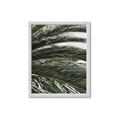 Picture of Sun & Palms  _GroupedProduct_Rectangle_Portrait_Photography _GroupedProduct_Rectangle_Portrait_Framed_Matted_
