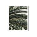Picture of Sun & Palms  _GroupedProduct_Rectangle_Portrait_Photography _GroupedProduct_Rectangle_Portrait_Framed_Matted_