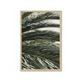Picture of Sun & Palms  _GroupedProduct_Rectangle_Portrait_Photography _GroupedProduct_Rectangle_Portrait_Framed_Matted_