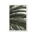 Picture of Sun & Palms  _GroupedProduct_Rectangle_Portrait_Photography _GroupedProduct_Rectangle_Portrait_Framed_Matted_