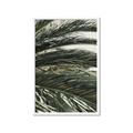 Picture of Sun & Palms  _GroupedProduct_Rectangle_Portrait_Photography _GroupedProduct_Rectangle_Portrait_Framed_Matted_