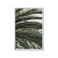 Picture of Sun & Palms  _GroupedProduct_Rectangle_Portrait_Photography _GroupedProduct_Rectangle_Portrait_Framed_Matted_
