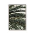 Picture of Sun & Palms  _GroupedProduct_Rectangle_Portrait_Photography _GroupedProduct_Rectangle_Portrait_Framed_Matted_